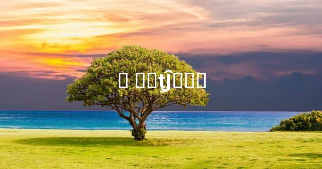 ƿ Ƹ֮ţĴҵ̣׼